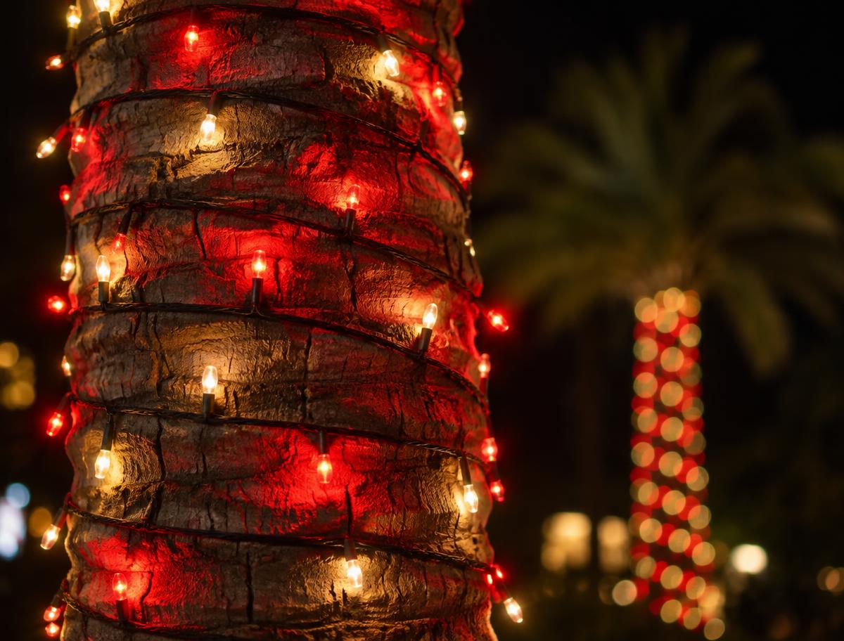 Palm tree trunk wrapped in glowing red and warm white holiday lights
